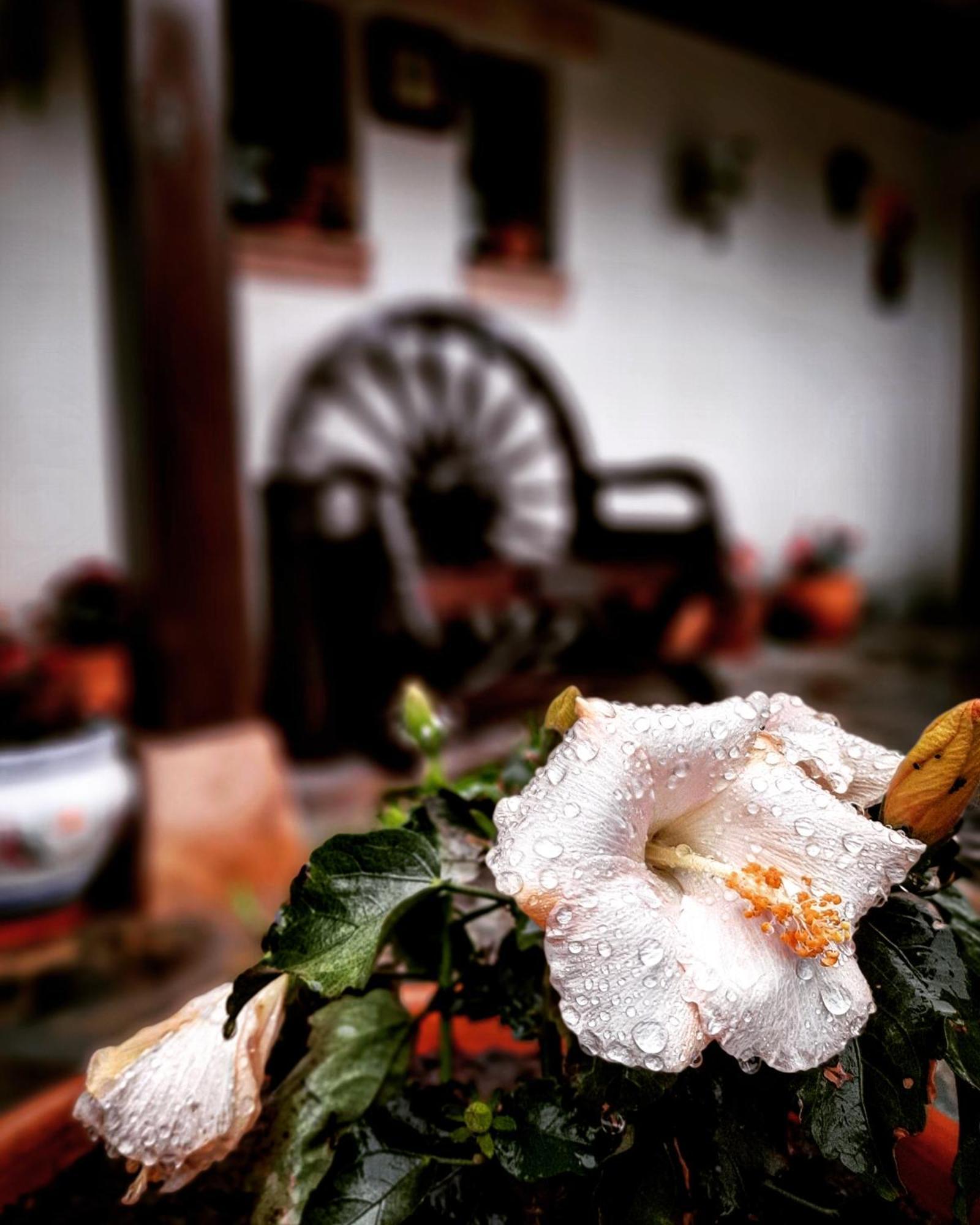 Posada Marina Suances Buitenkant foto
